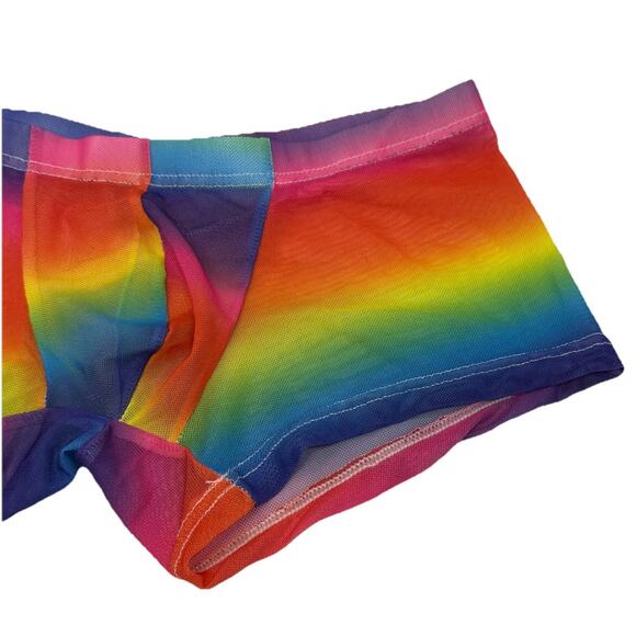 Men’s PRIDE Colors Polyester Mesh Small Boxer Briefs See Through Low Rise NWOT - Picture 2 of 13